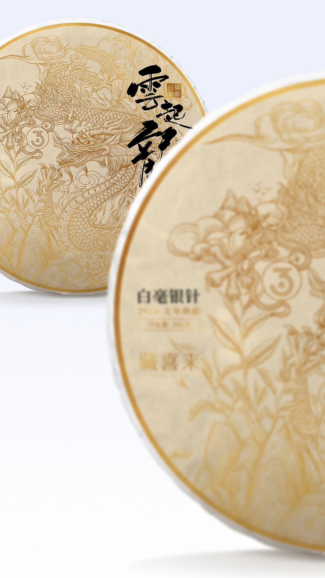 藏喜来-龙年白茶包装设计
