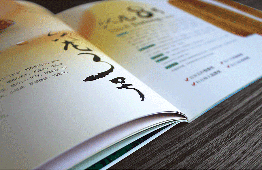 倍丰种业——龙江种业领跑者