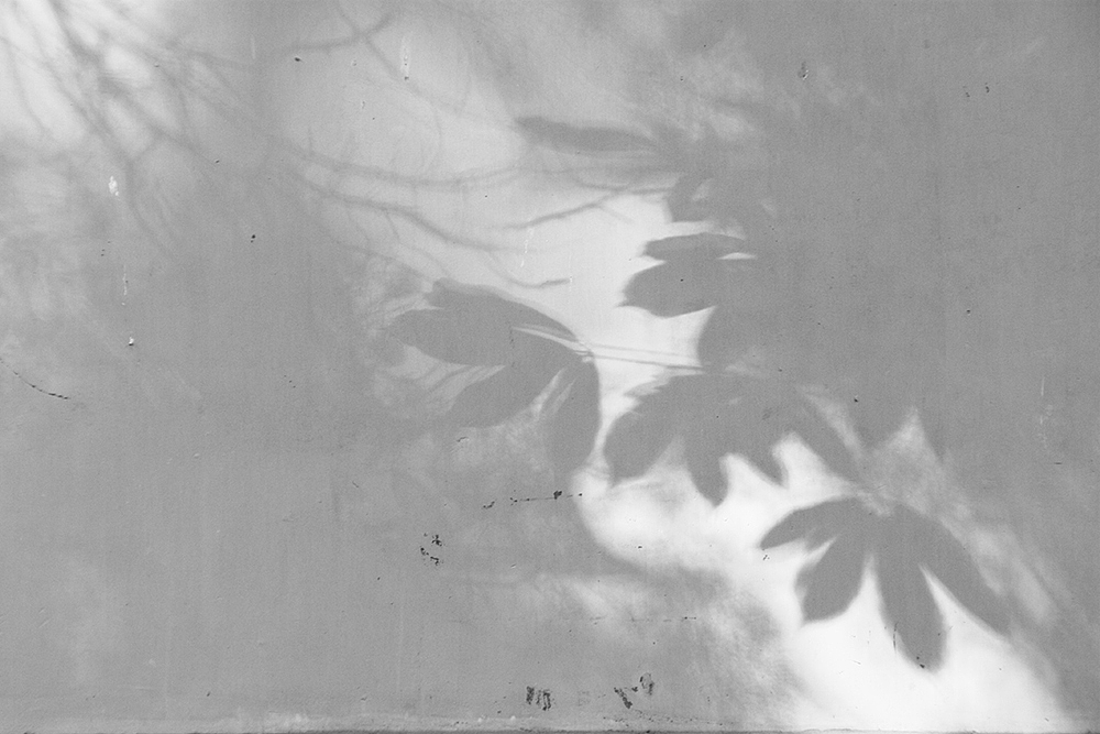 大觉寺寻秋《色、空、影》（图ZMzAwNDY2NDg=） - 风光摄影 - 站酷设计师上古清茗原创素材 - 站酷ZCOOL