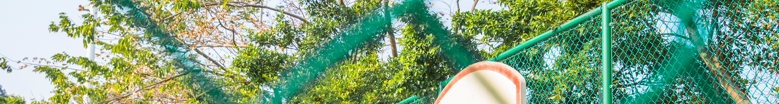 Crystal11gao的个人主页（封面预览） - 主页封面设置 - 站酷设计师Crystal11gao原创素材 - 站酷ZCOOL