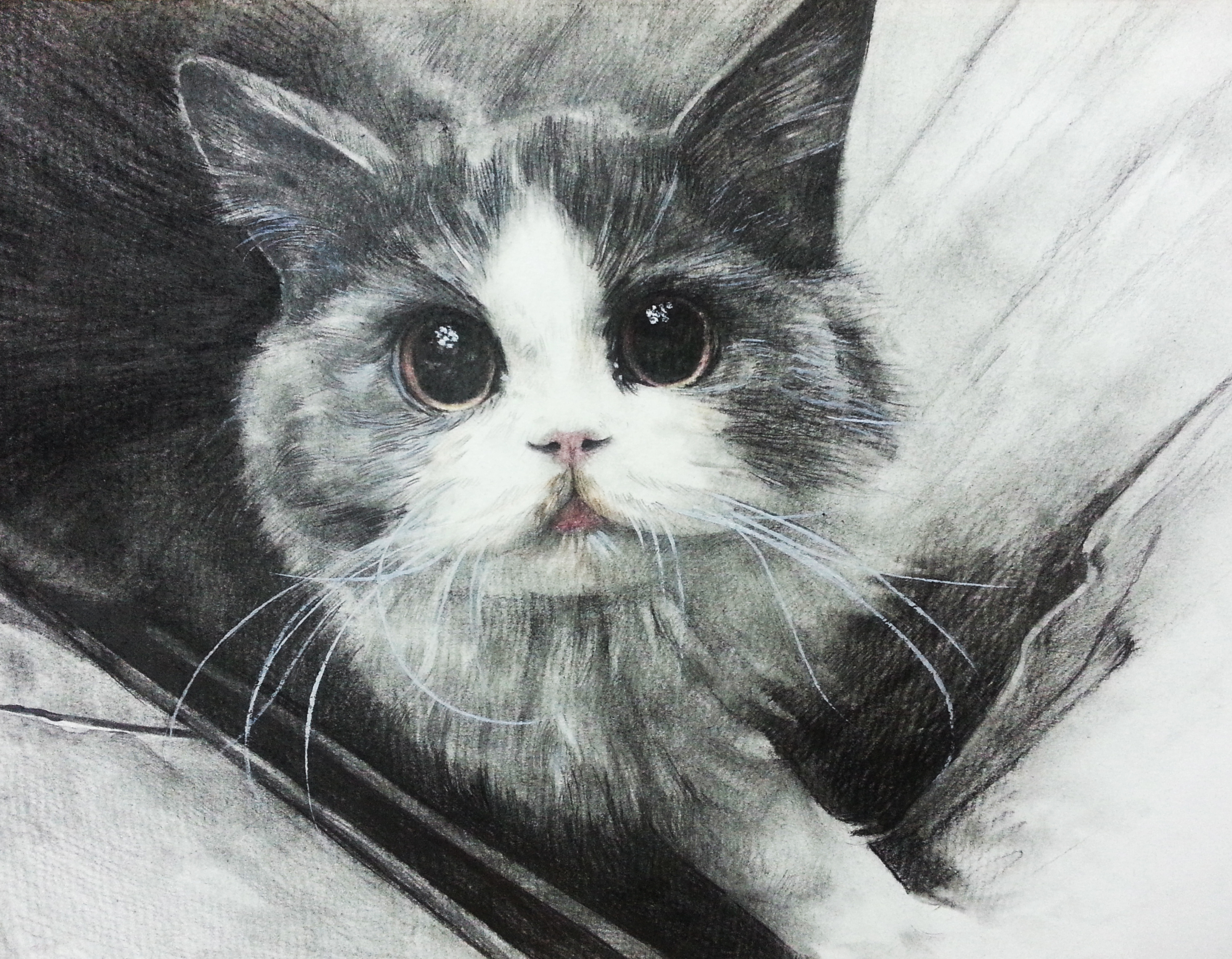 儿童画小猫的画法 简单可爱简笔画图 - 有点网 - 好手艺