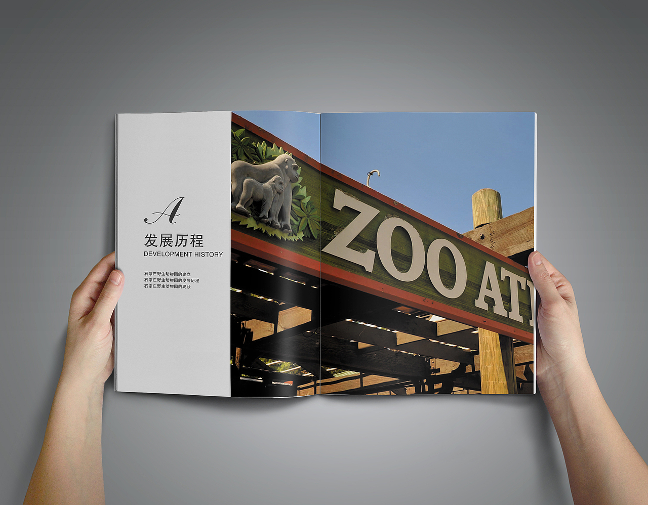 动物园画册（图ZNjk1OTUwMTY=） - 书籍/画册 - 站酷设计师猫小曼原创素材 - 站酷ZCOOL