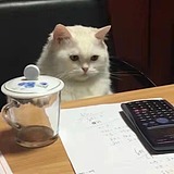 阿免_pluie的头像