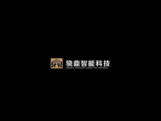 骁鼎2017画册&折页