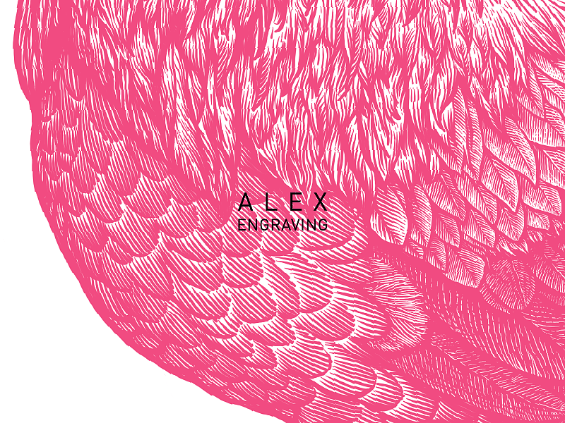 版画 - 鸡（图ZMTExNTQ2NDcy） - 商业插画 - 站酷设计师花椒的Alex原创素材 - 站酷ZCOOL