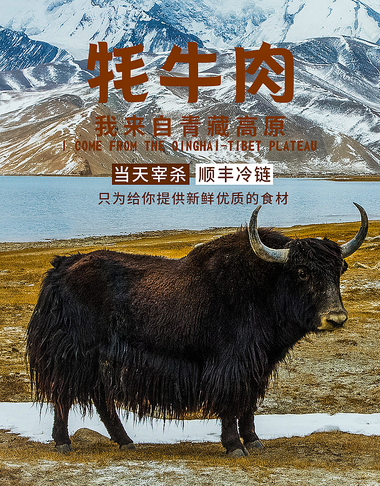 高原牦牛肉|平面|海报|踩着梯子摸彩虹_原创作品-站酷zcool