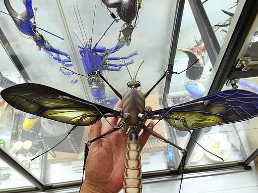 昆虫的机械进化