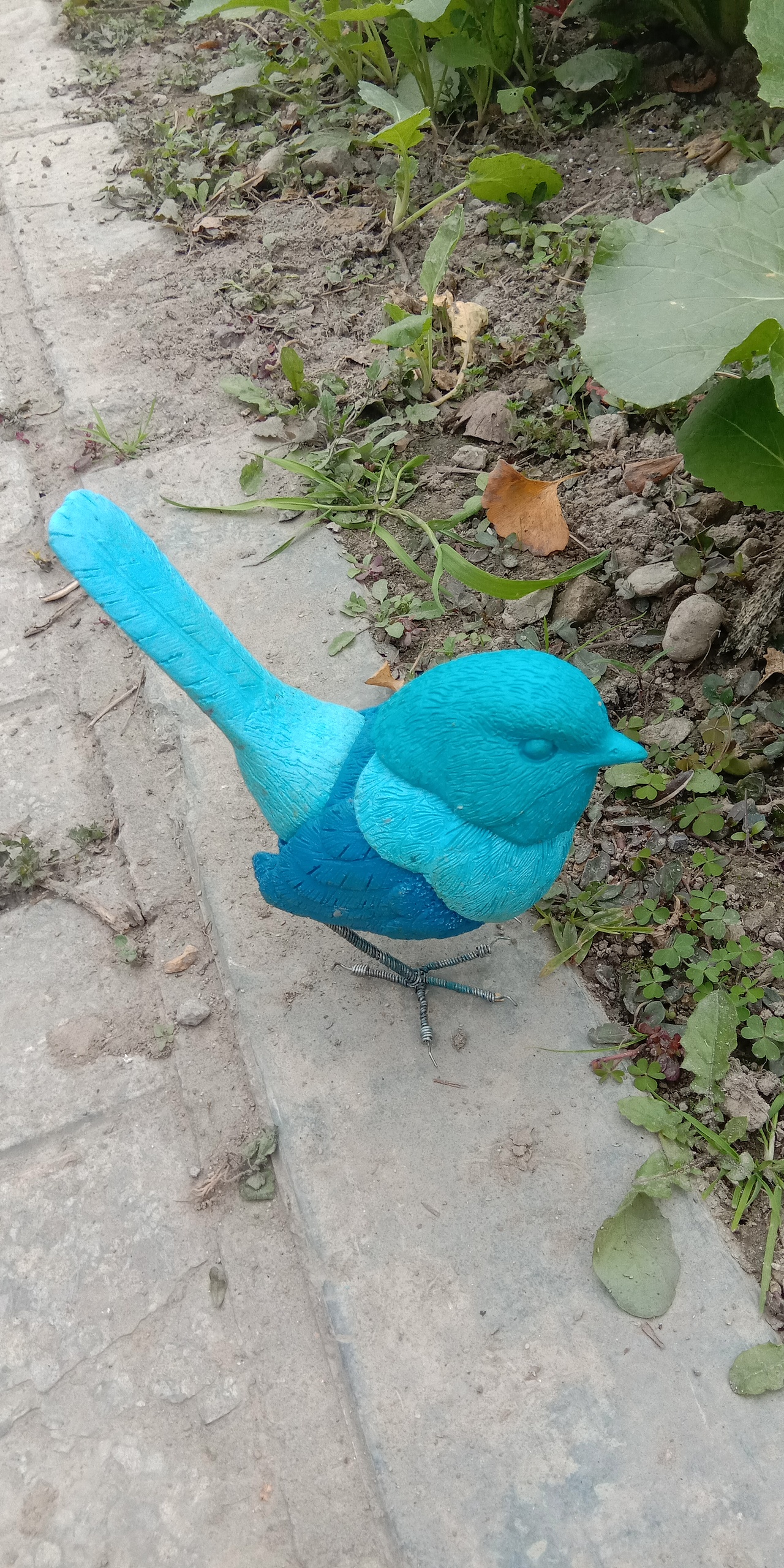 红鸟蓝鸟（图ZMTM3OTc0Njk2） - 工艺品设计 - 站酷设计师那火原创素材 - 站酷ZCOOL