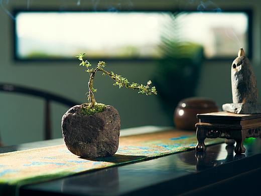在家做个石头盆景