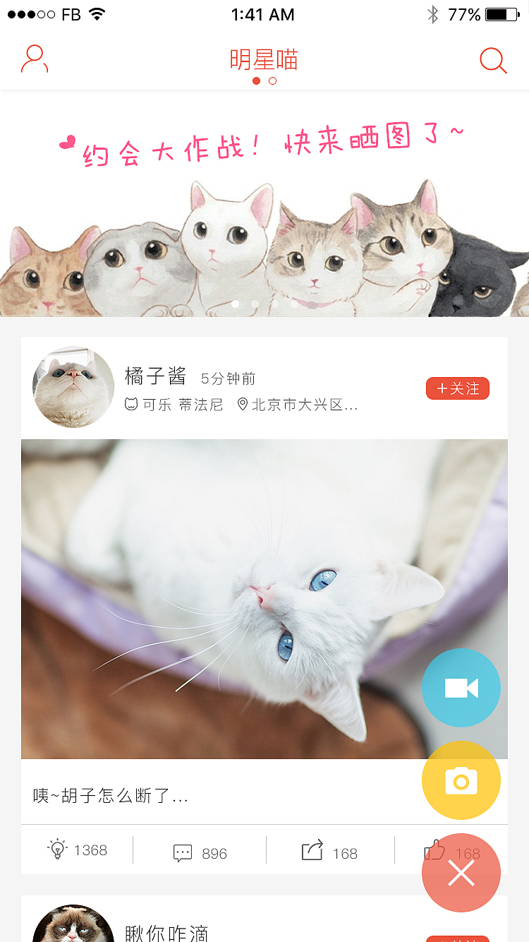 铲屎官日志（图ZNDYyNjA1NzI=） - APP界面 - 站酷设计师lewoss原创素材 - 站酷ZCOOL