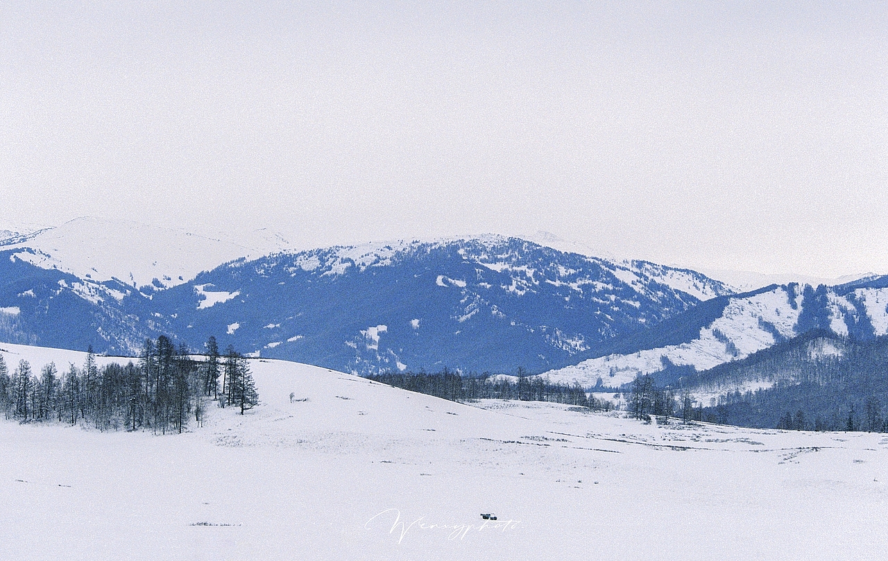 女孩们-2020节选