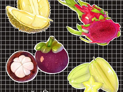 肌理风水果插画