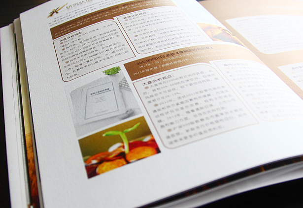 投资企业画册设计