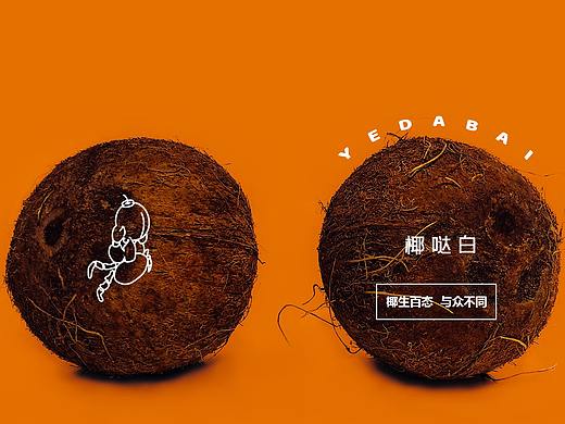 椰哒白品牌logo设计提案