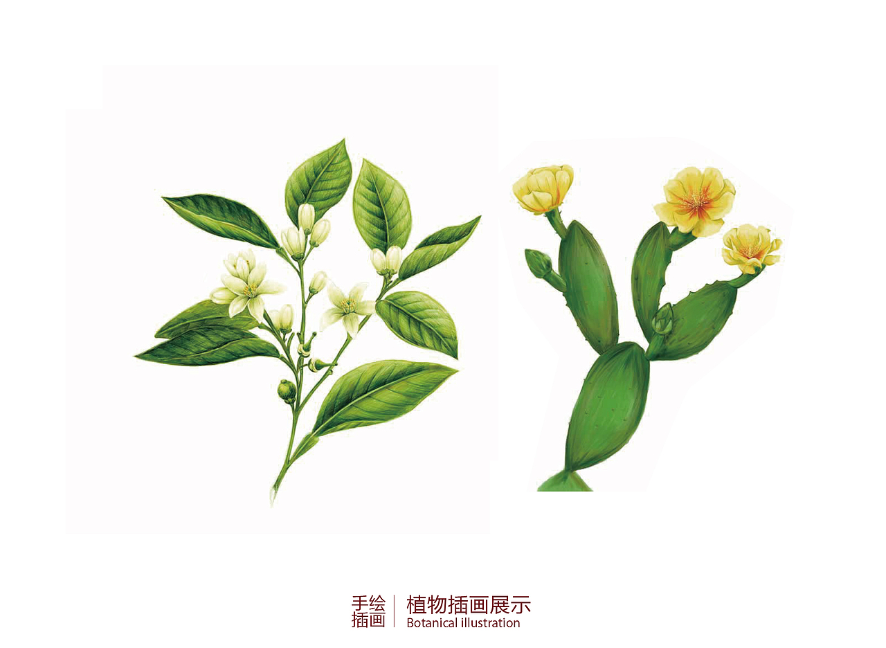 LFY-包装落地样儿