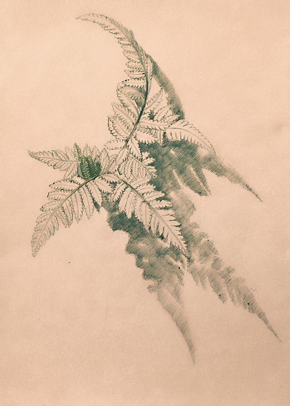 OY手绘:近期习作、圆珠笔画、彩铅画、涂鸦...