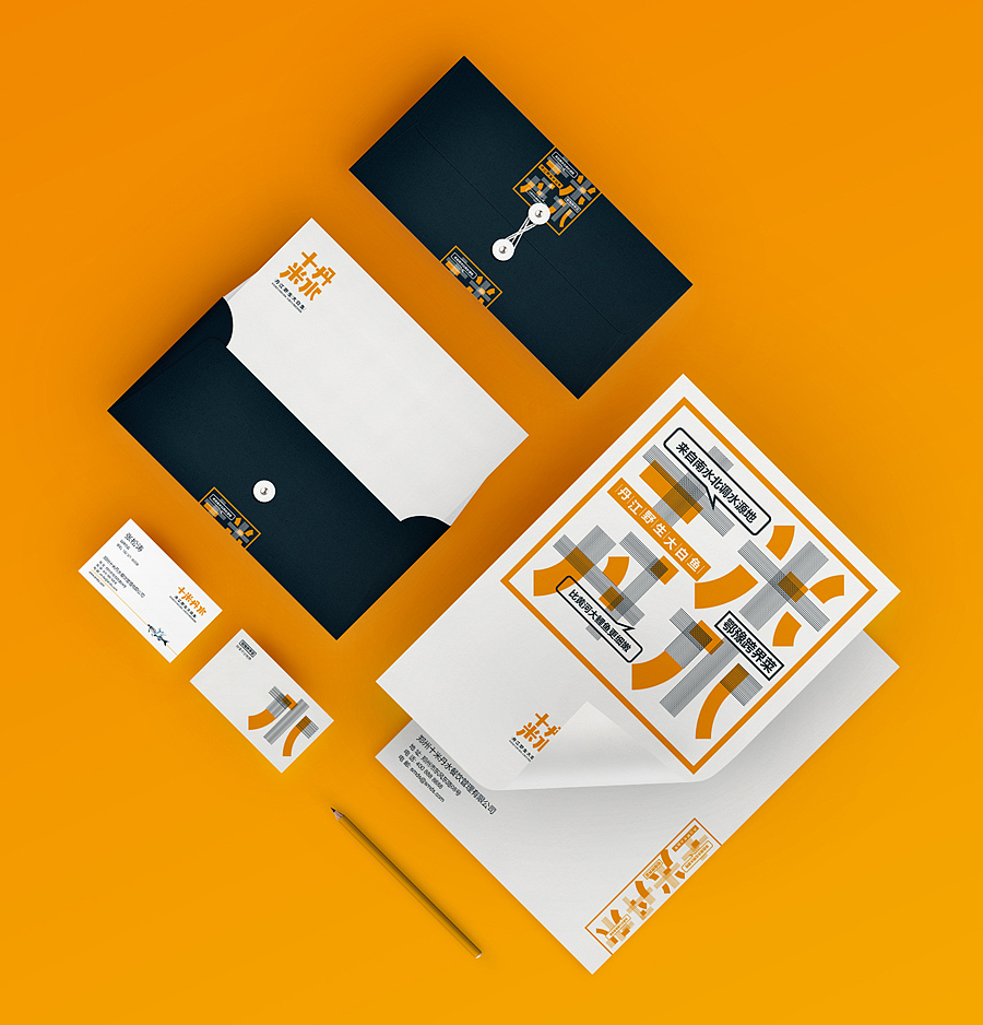 十米丹水·丹江大白鱼｜全案策划（图ZMjMyODE2MTY0） - 品牌 - 站酷设计师知风浪哥原创素材 - 站酷ZCOOL