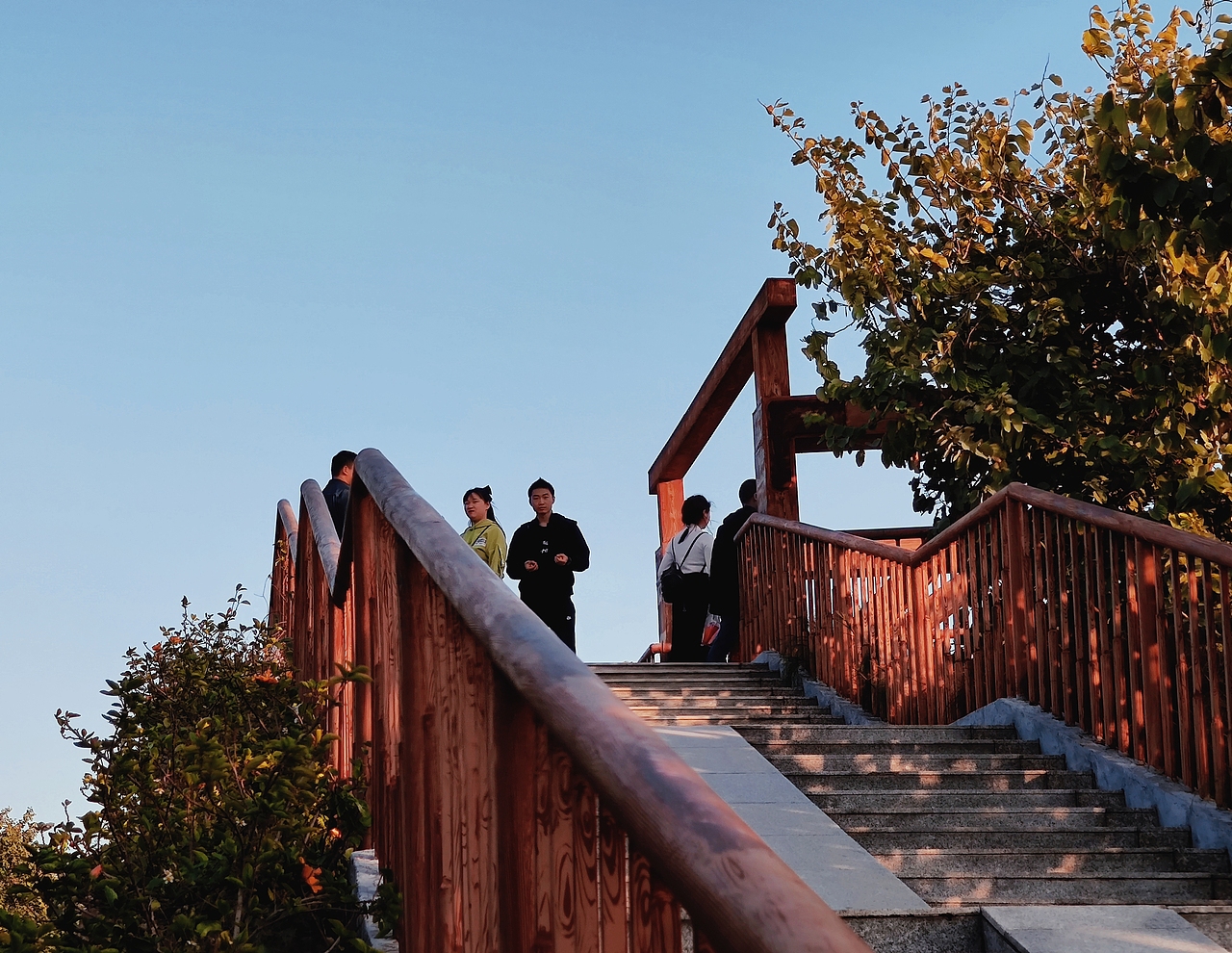 分享一组来自小米10至尊纪念版拍摄的照片