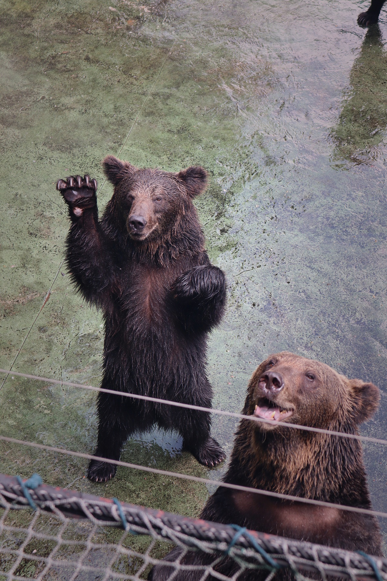 动物园里的他们