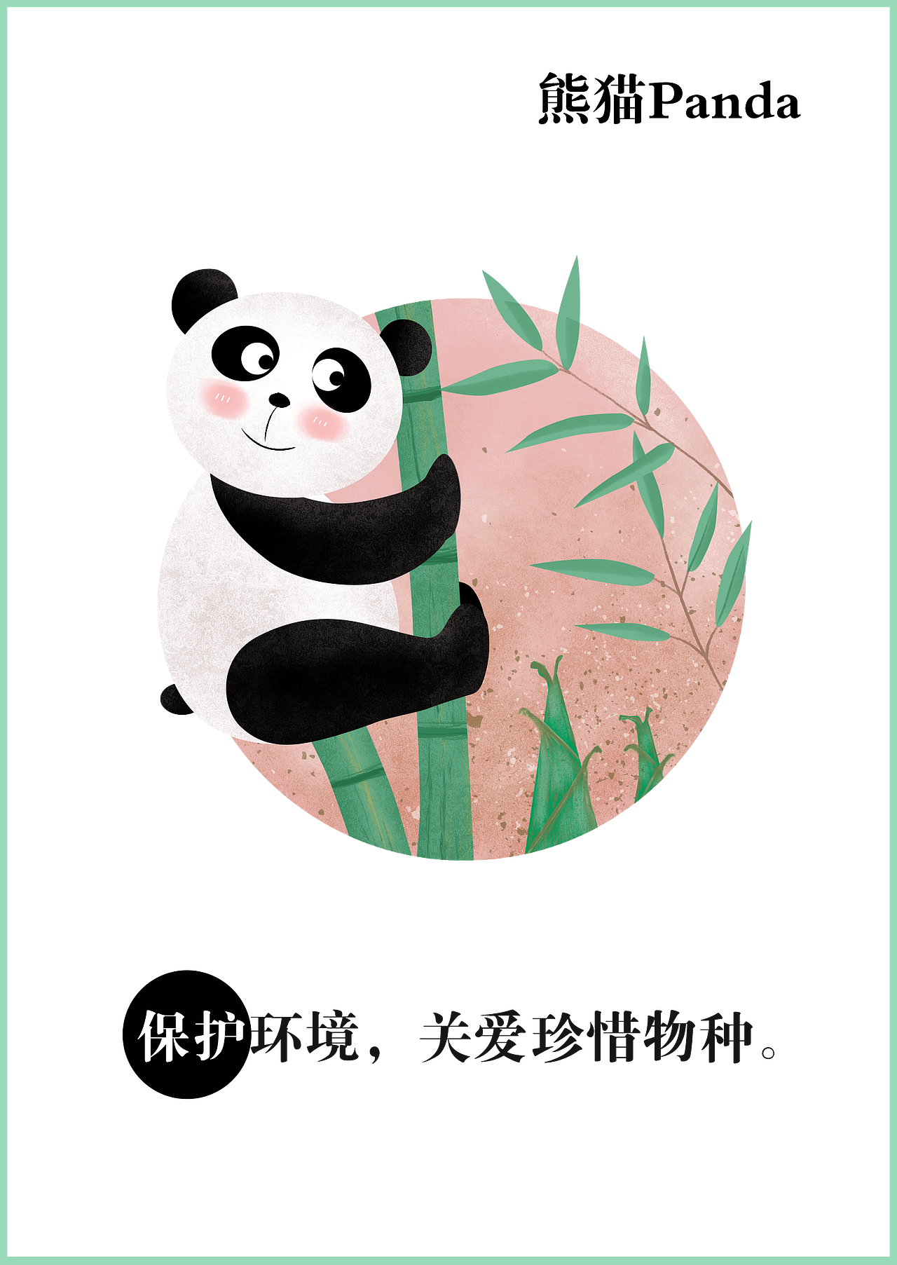 环保小动物系列