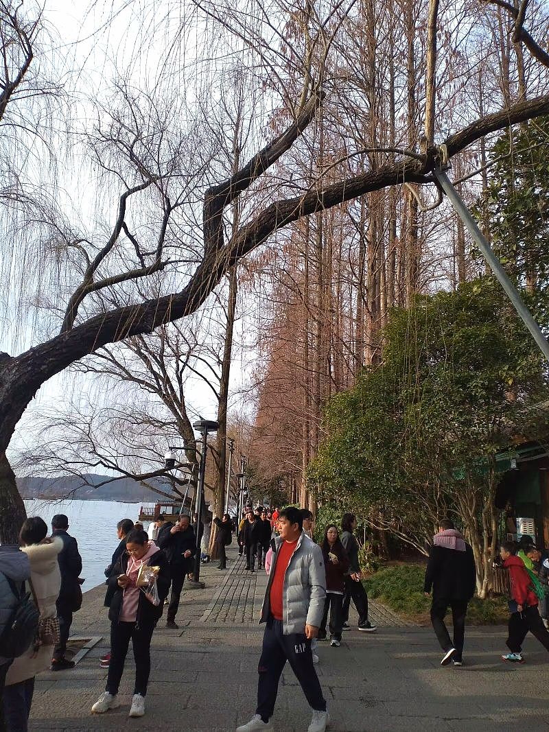 杭州.柳浪闻莺公园（2月打卡）（图ZMzY0Mjk3NTY0） - 风光摄影 - 站酷设计师东逛西摄原创素材 - 站酷ZCOOL