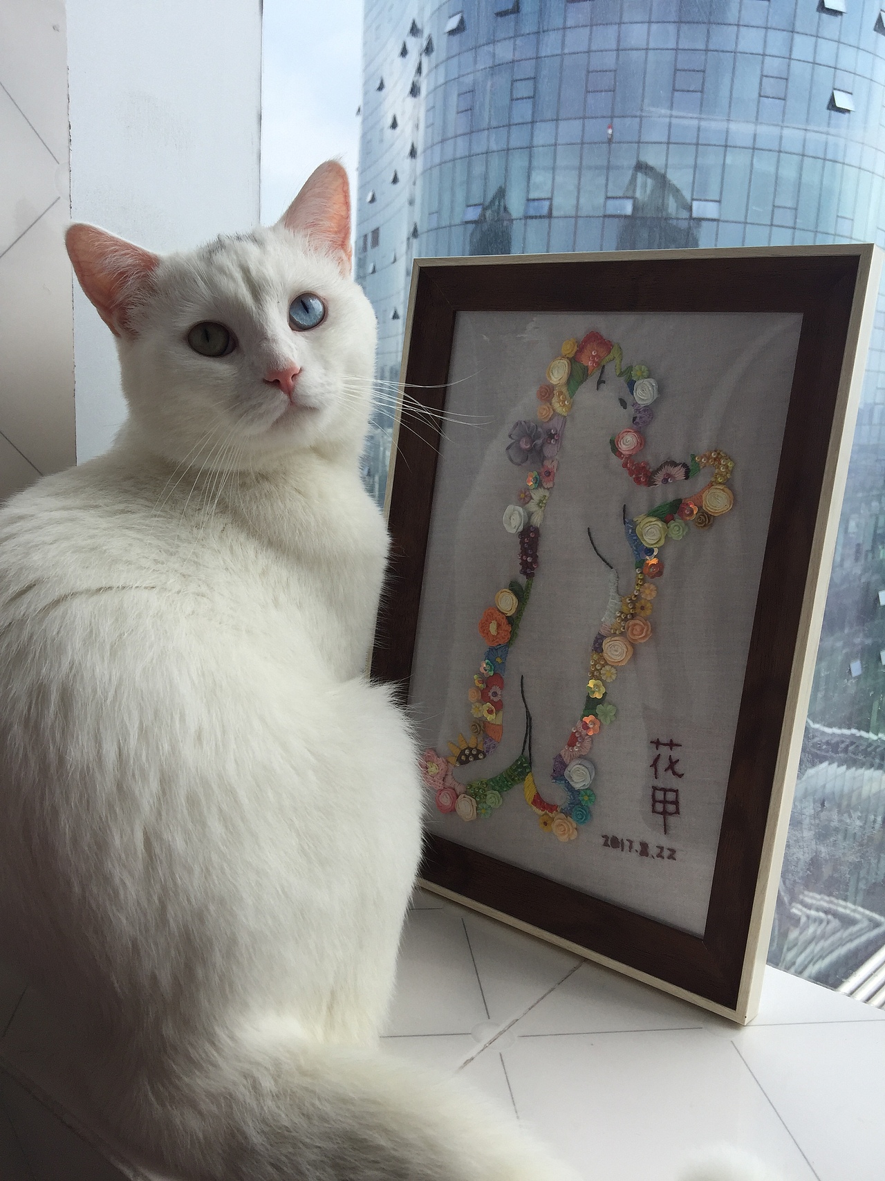 送给花甲的一周岁礼物