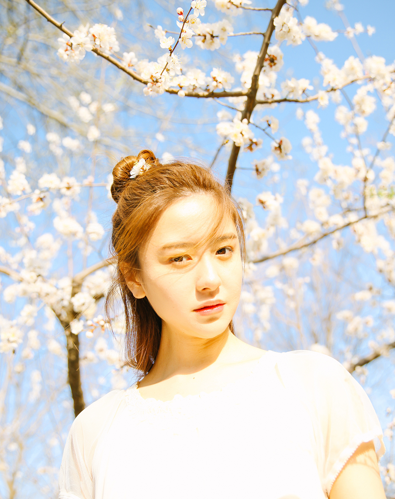 {海德娜娜}早樱。 春日艳阳天（图ZNDU0NzgzODQ=） - 人像摄影 - 站酷设计师hidenana海德娜娜原创素材 - 站酷ZCOOL