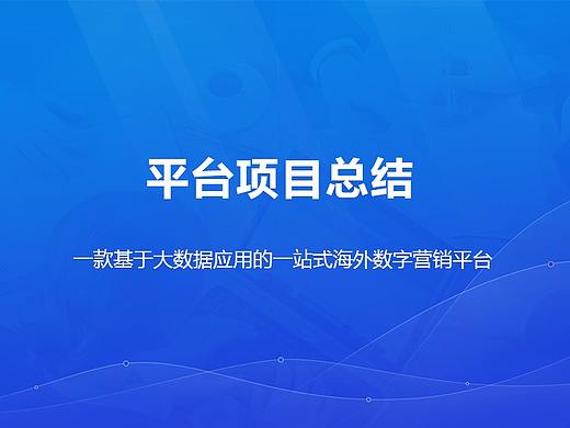 大数据海外数字营销平台 项目总结