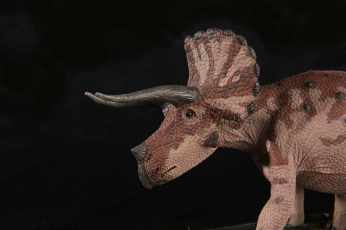 1/35三角龙龙模型