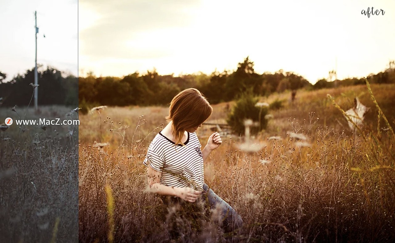 10个照片修复lr预设