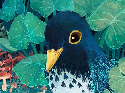 蘑菇鸟还有幻想