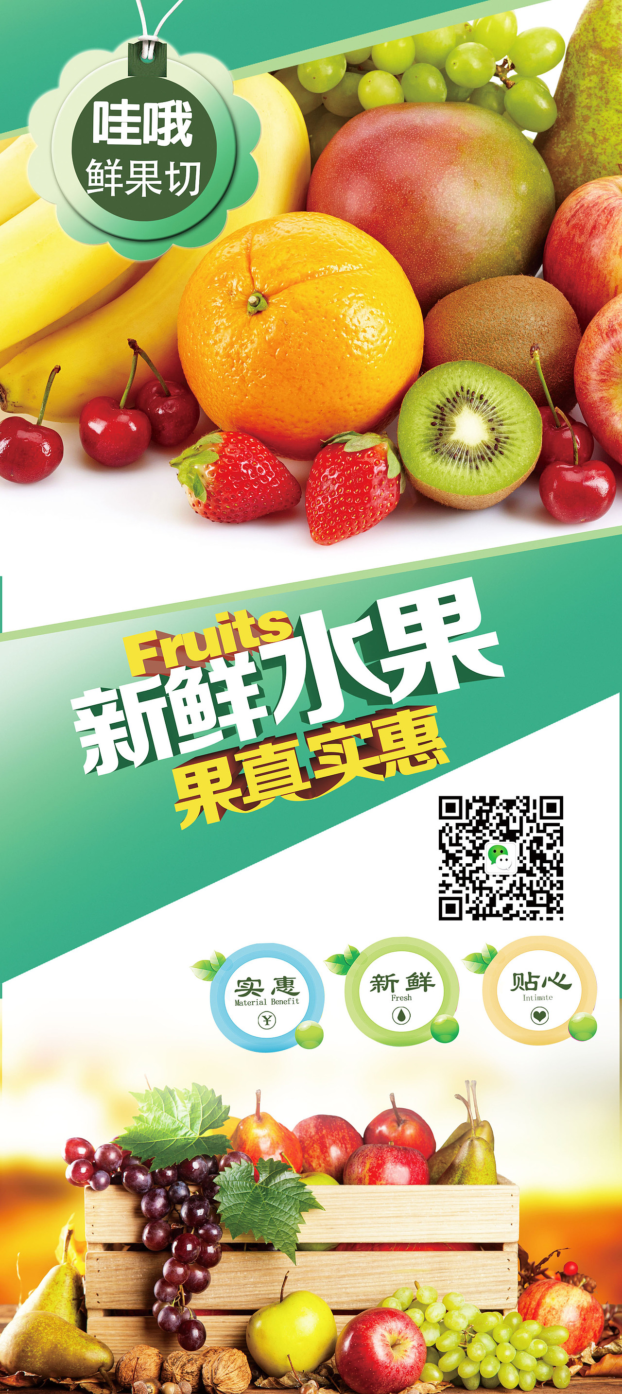 蓝海贝的易拉宝/水果易拉宝