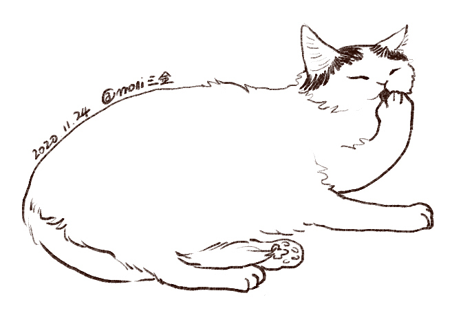 卷卷日常（图ZMjM1ODIxODYw） - 创作习作 - 站酷设计师喵三山原创素材 - 站酷ZCOOL