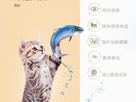 罐头详情页