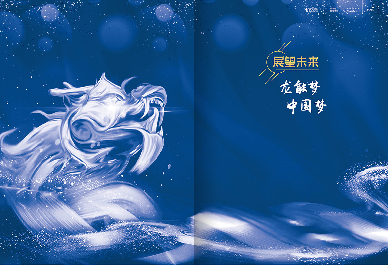 龙能股份十周年画册