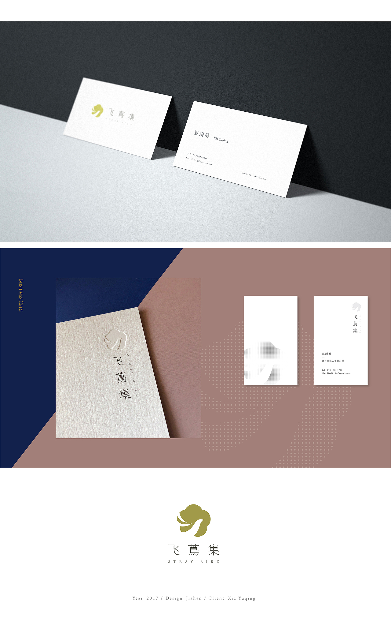 Branding | 飞蔦集 Stray bird