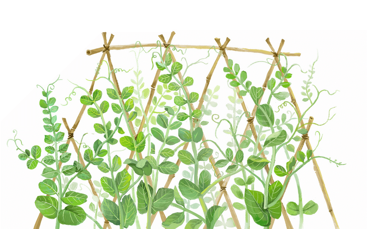 1280_800gif 动态图 动图