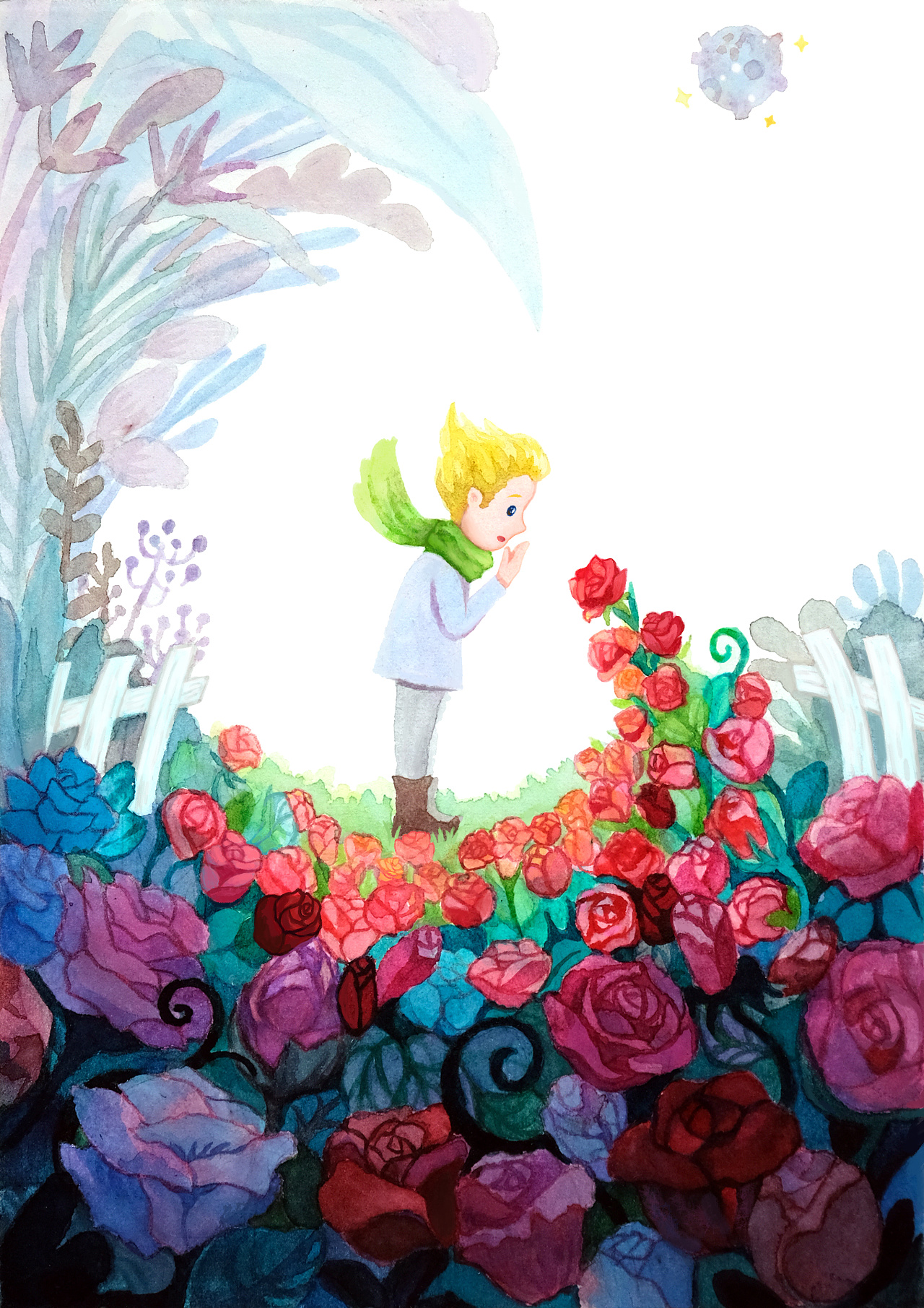 小王子绘画玫瑰图片