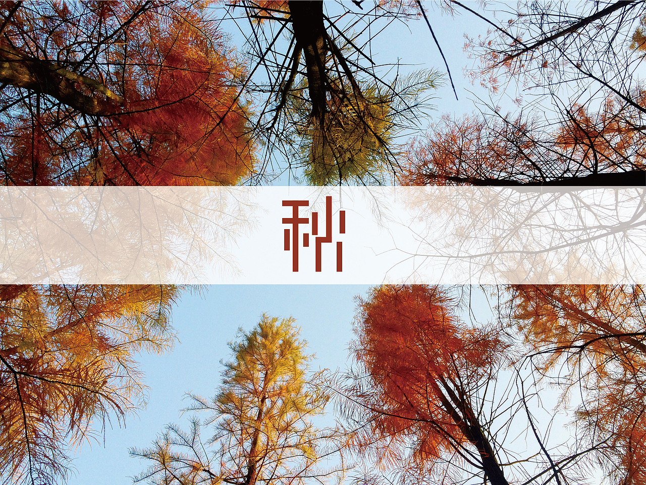 2018年,我的花瓣网转采率前20的字体设计作品