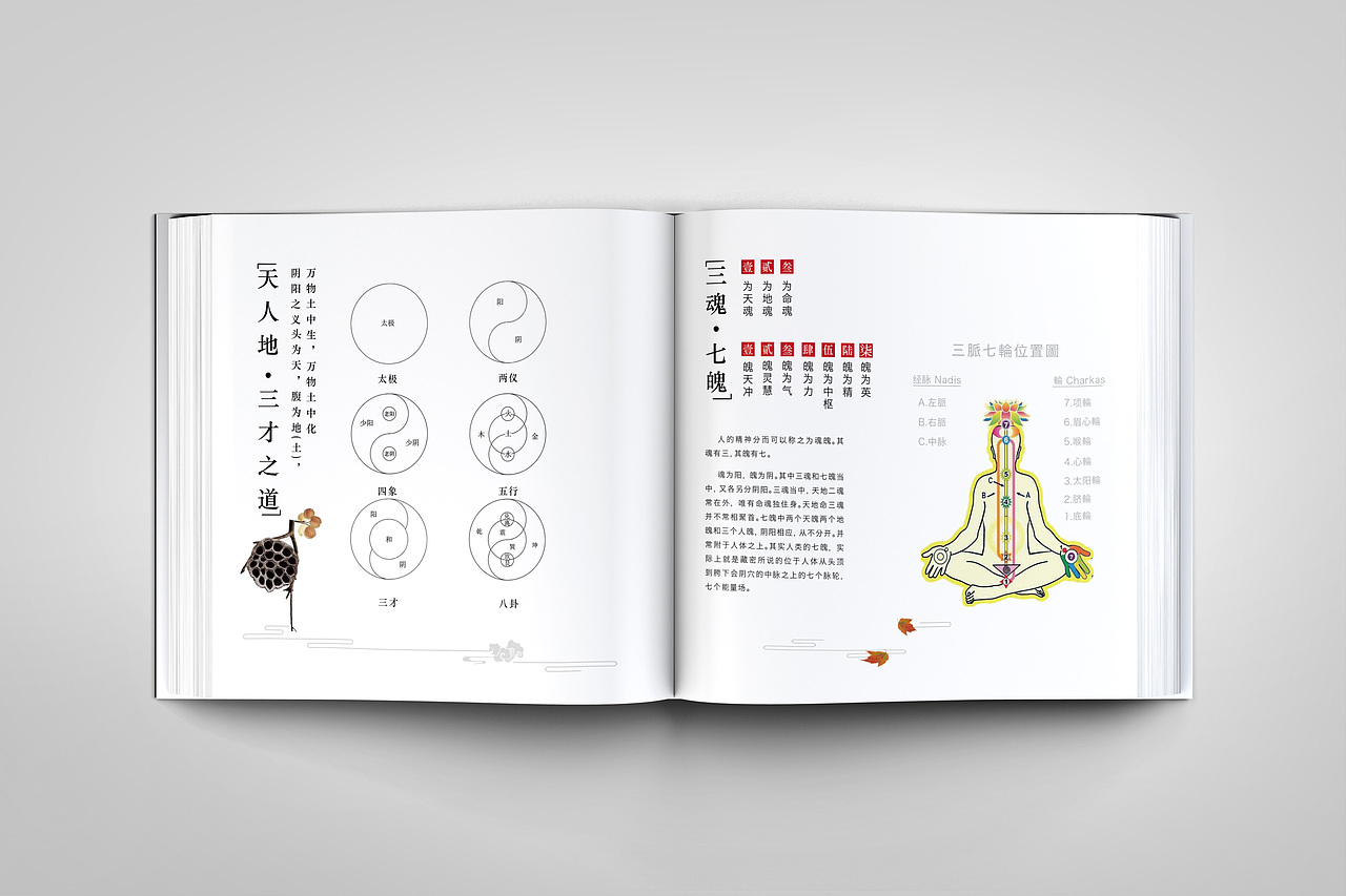 炁物元养生画册