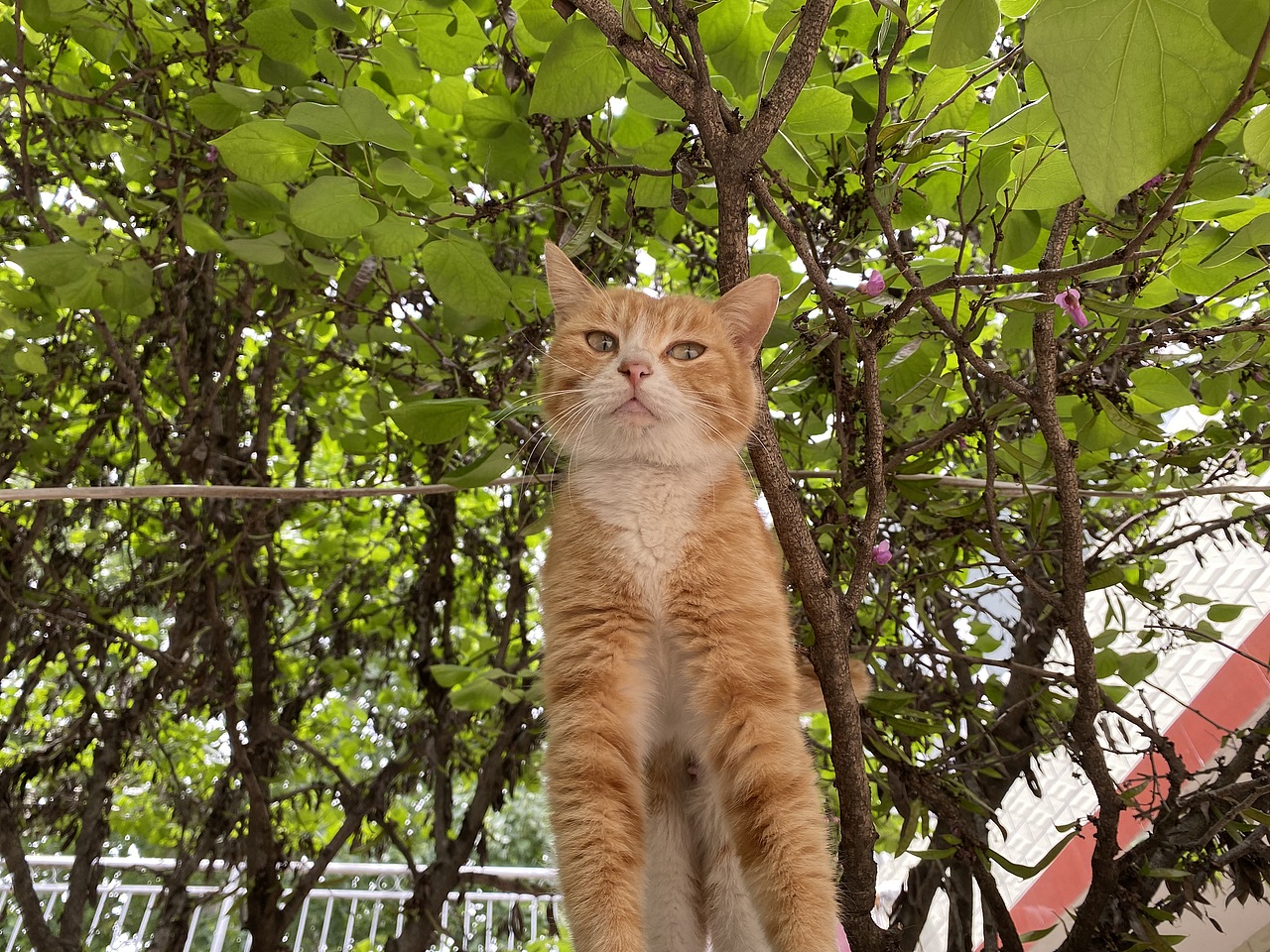 生活小照（圖ZMjU2NTc5MTY0） - 人文/紀(jì)實(shí)攝影 - 站酷設(shè)計(jì)師蘑菇mm原創(chuàng)素材 - 站酷ZCOOL