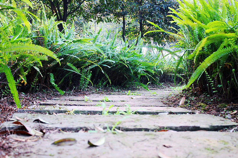 皇家理工摄影大赛参赛作品