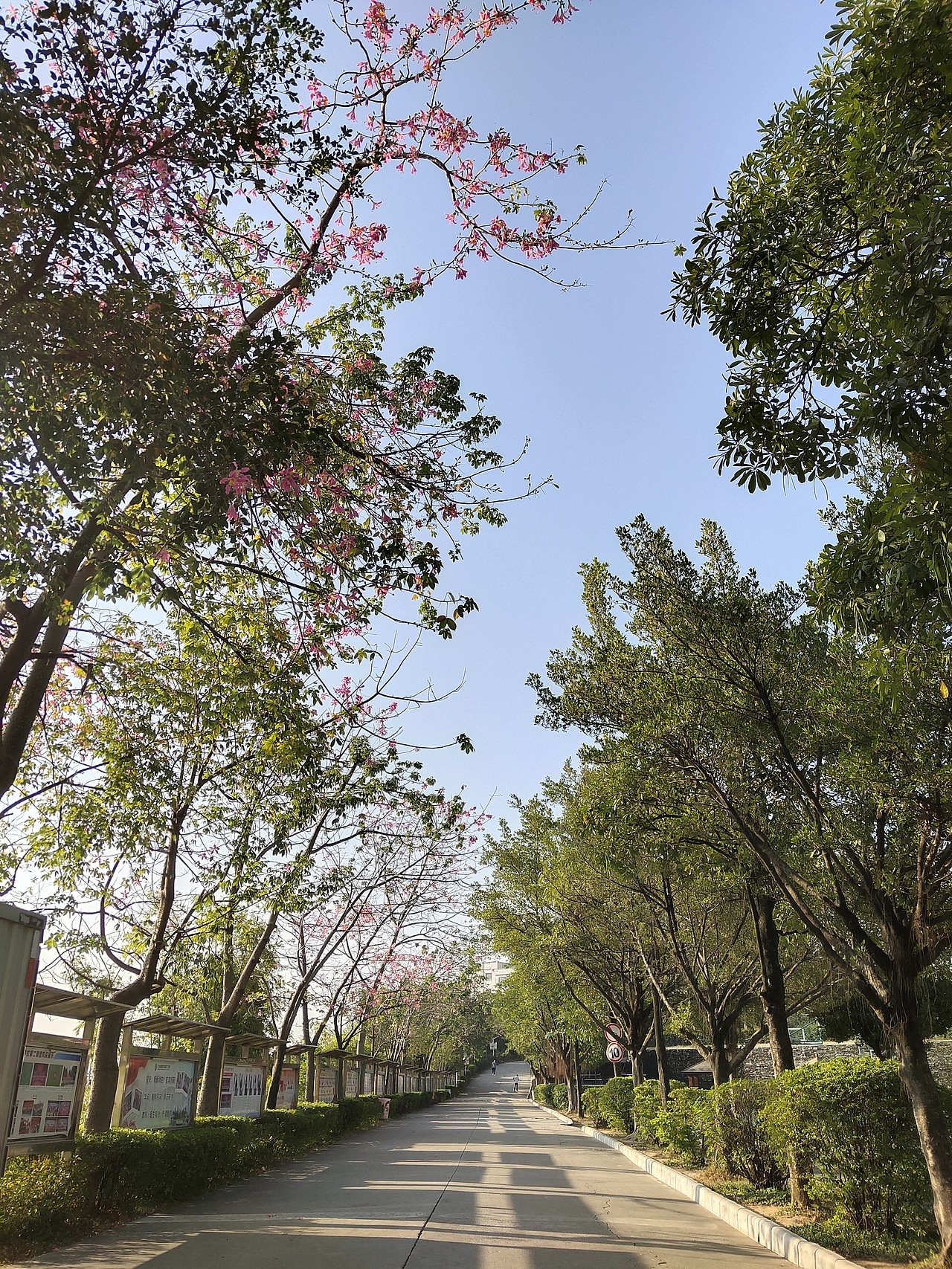 (无文案)记录日常美好生活