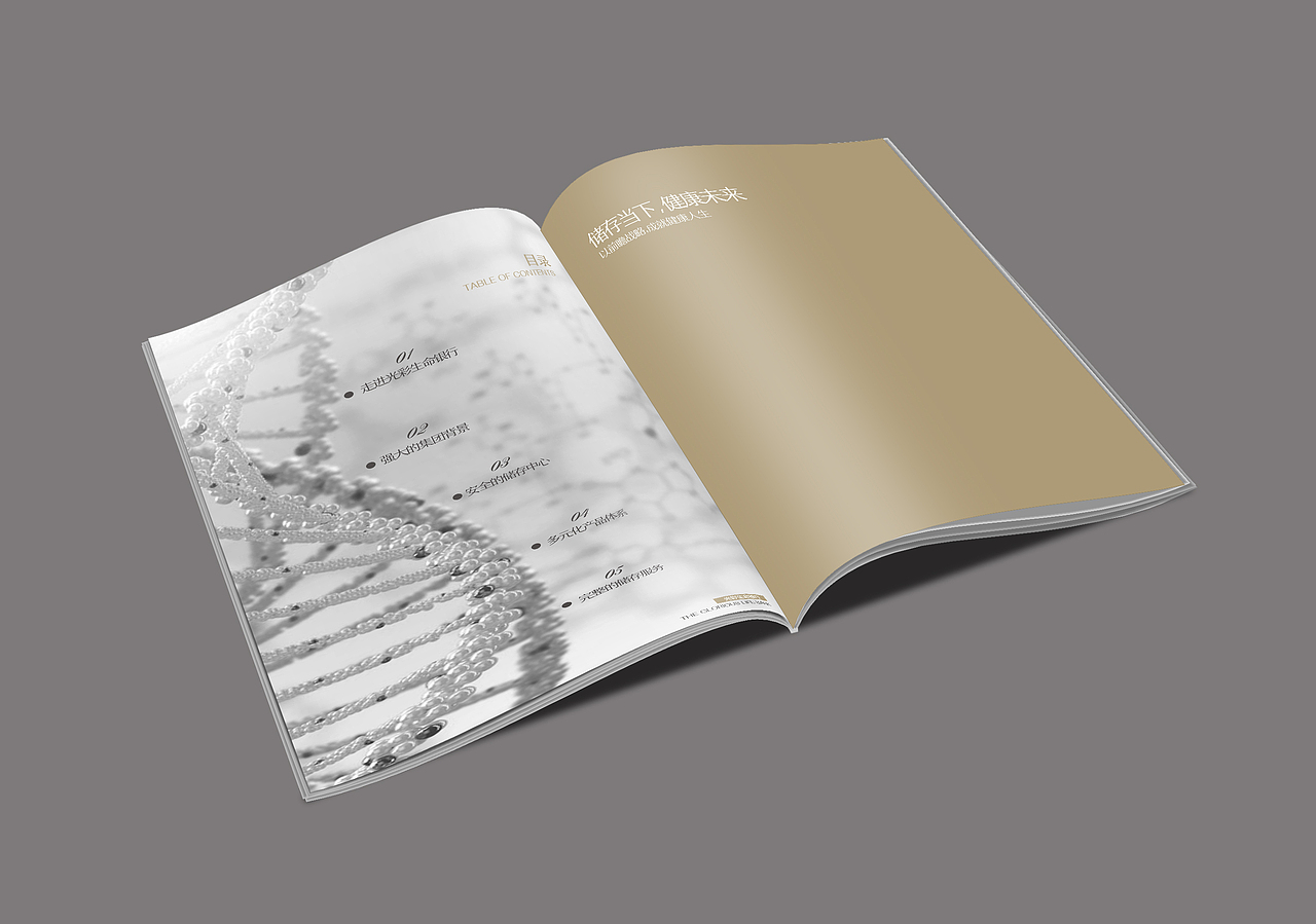 干细胞 基因 医疗画册设计