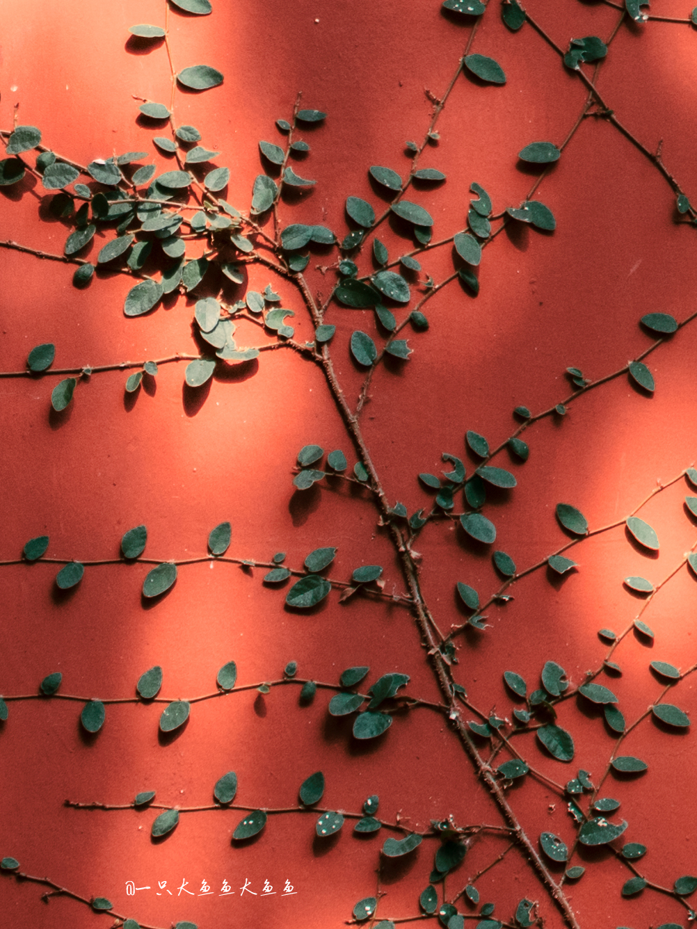 大魚Blender的個(gè)人主頁(yè)（封面預(yù)覽） - 主頁(yè)封面設(shè)置 - 站酷設(shè)計(jì)師大魚Blender原創(chuàng)素材 - 站酷ZCOOL