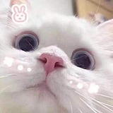 心态要好好好的头像
