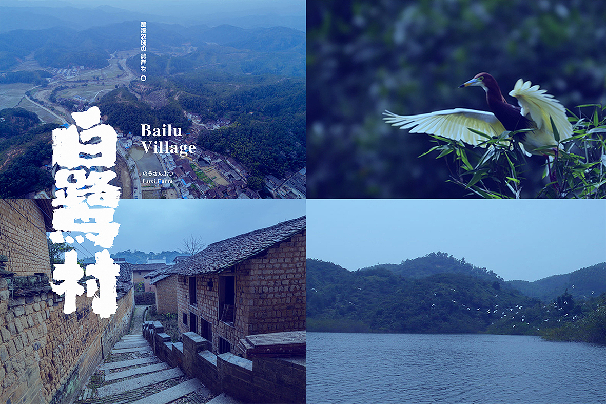 鹭溪农场の農産物(产品手册)