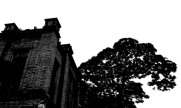 淘宝摄影,石家庄淘宝摄影,皮草摄影,石家庄摄影