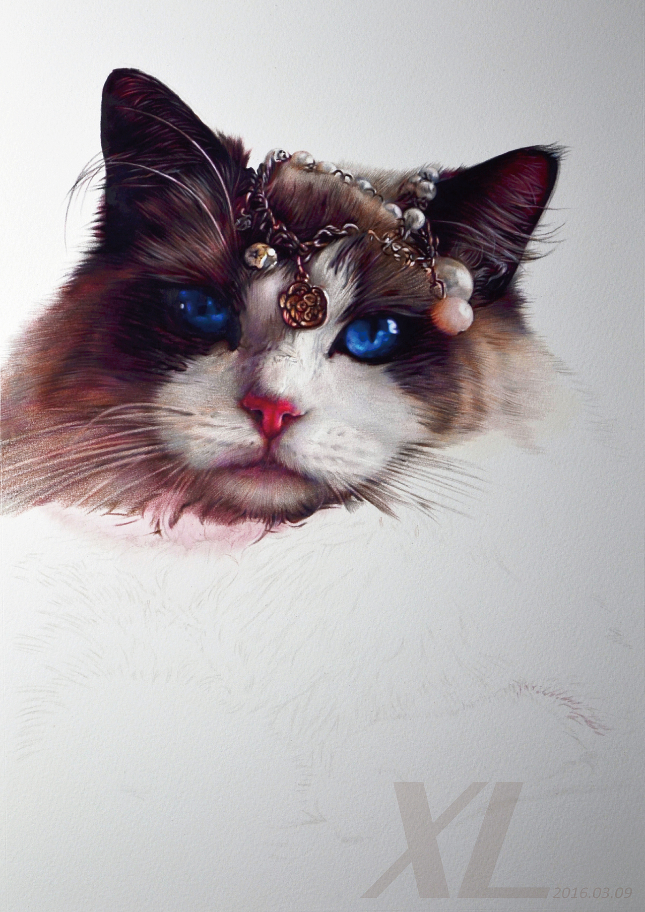 彩铅作品雍容华贵的布偶猫祥雷xl