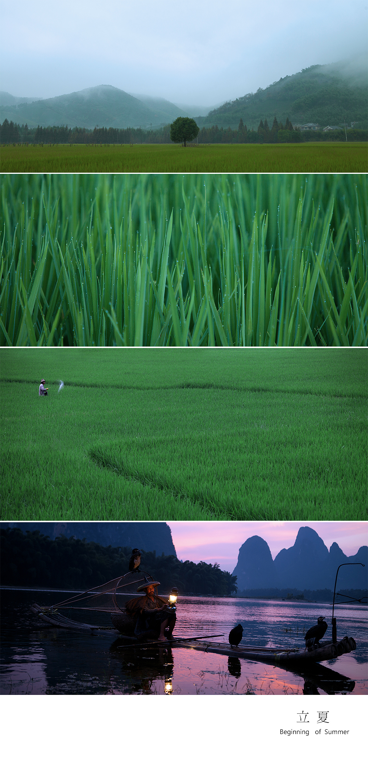 山河岁月，人间时节。（图ZMTM1NzY2NDIw） - 风光摄影 - 站酷设计师陈帆fotochen原创素材 - 站酷ZCOOL